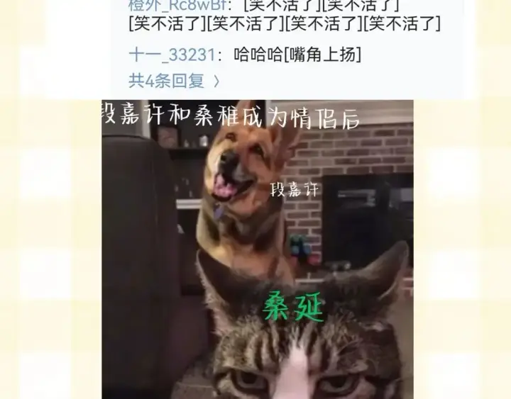 《偷偷藏不住》第20期［搞点事］7月整活总结（日更中图10