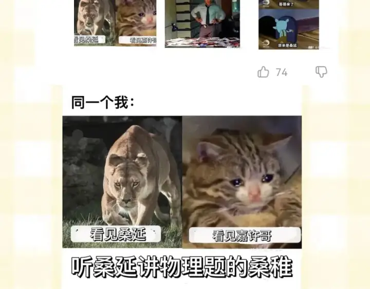 《偷偷藏不住》第20期［搞点事］7月整活总结（日更中图15