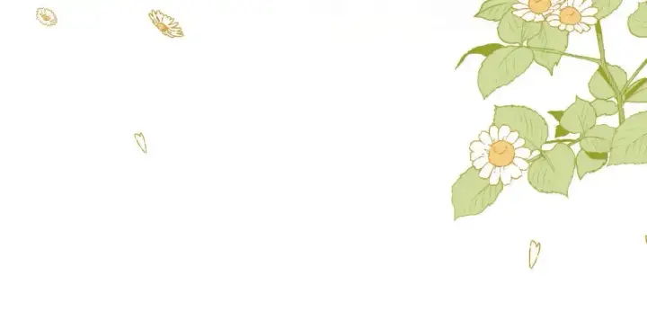 《偷偷藏不住》32 也没个名分图88