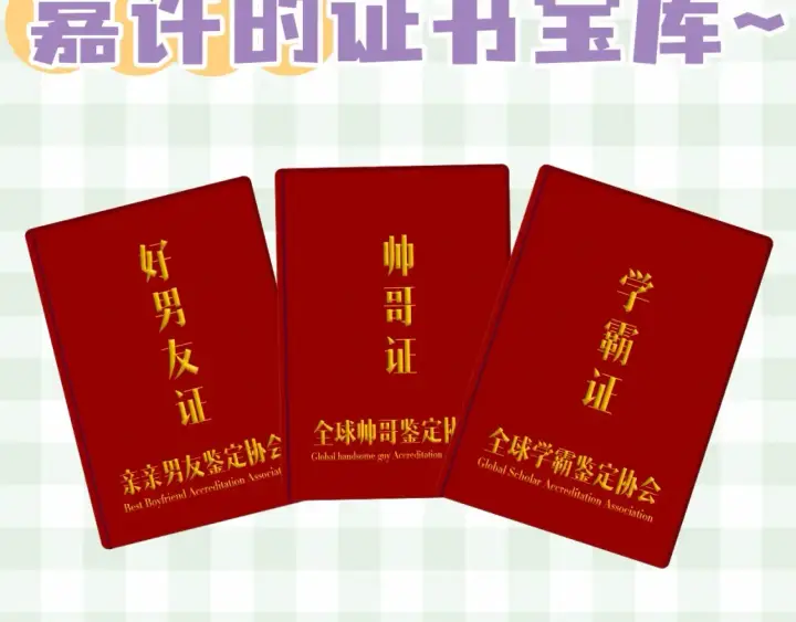 《偷偷藏不住》第33期 漫画角色证件一览！图13