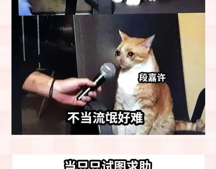 《偷偷藏不住》第37期 梗图第二期来噜图10