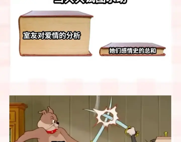 《偷偷藏不住》第37期 梗图第二期来噜图11