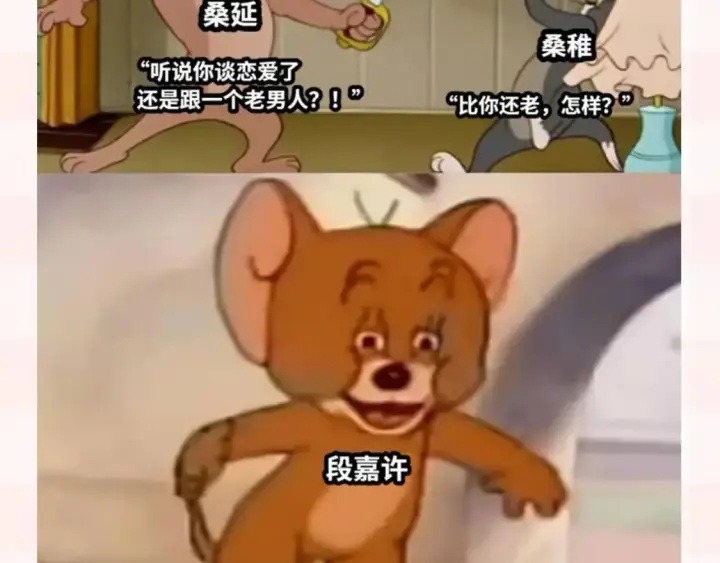 《偷偷藏不住》第37期 梗图第二期来噜图12
