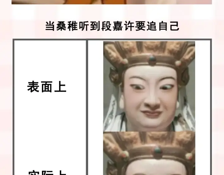 《偷偷藏不住》第37期 梗图第二期来噜图13