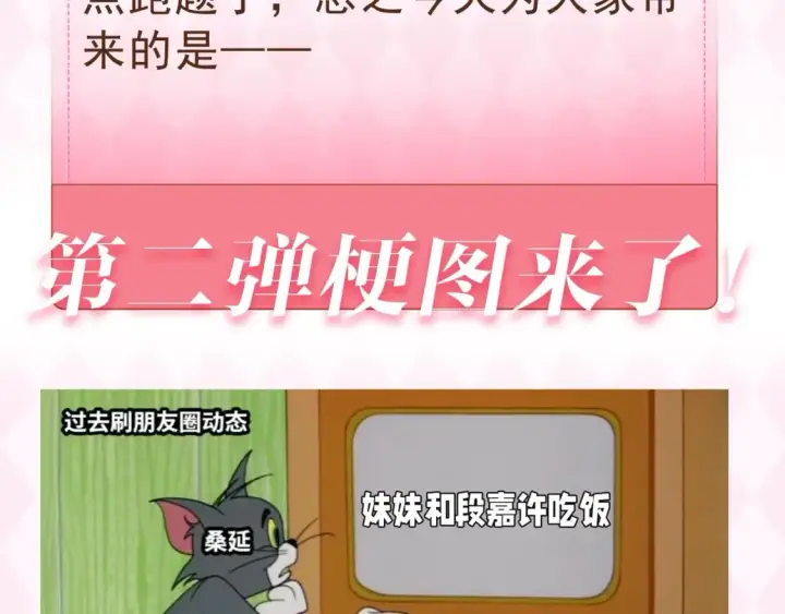《偷偷藏不住》第37期 梗图第二期来噜图4