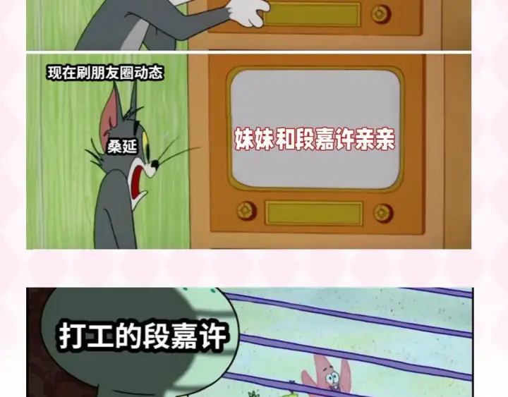 《偷偷藏不住》第37期 梗图第二期来噜图5