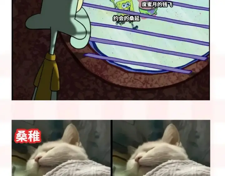 《偷偷藏不住》第37期 梗图第二期来噜图6