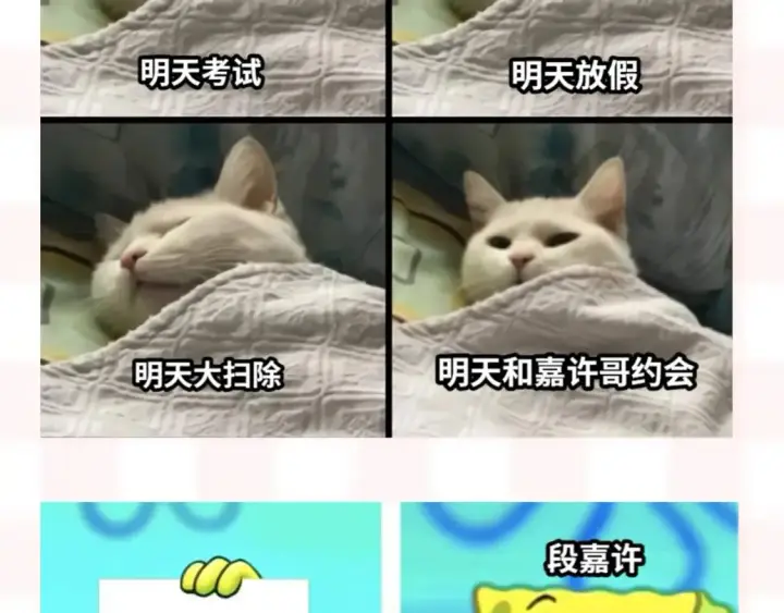 《偷偷藏不住》第37期 梗图第二期来噜图7
