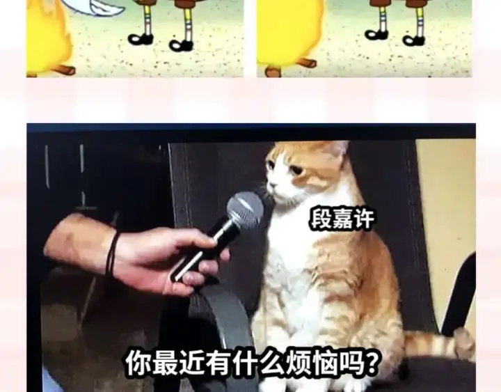 《偷偷藏不住》第37期 梗图第二期来噜图9