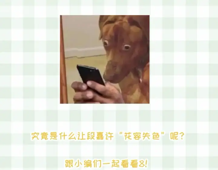 《偷偷藏不住》第45期 搞点事－抓拍段嘉许大眼瞬间！图8