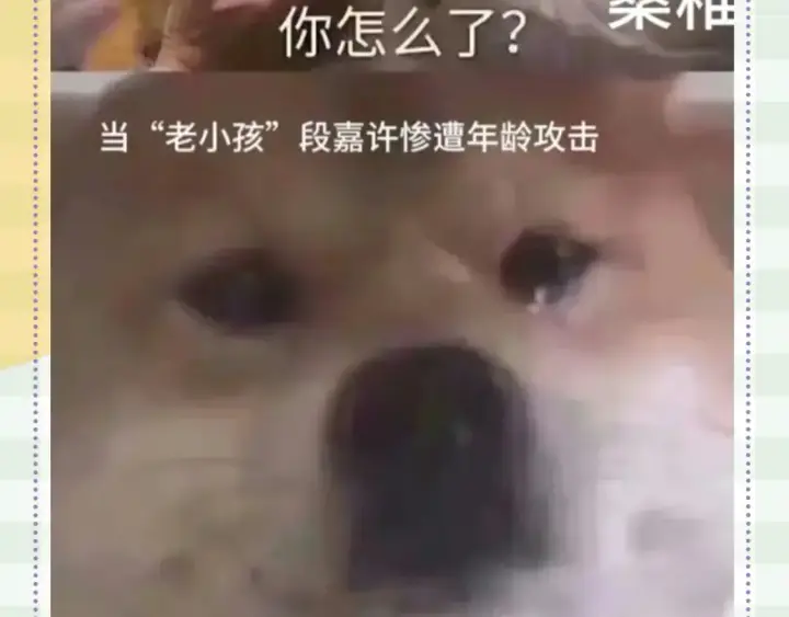 《偷偷藏不住》第48期 8月整活总结图19
