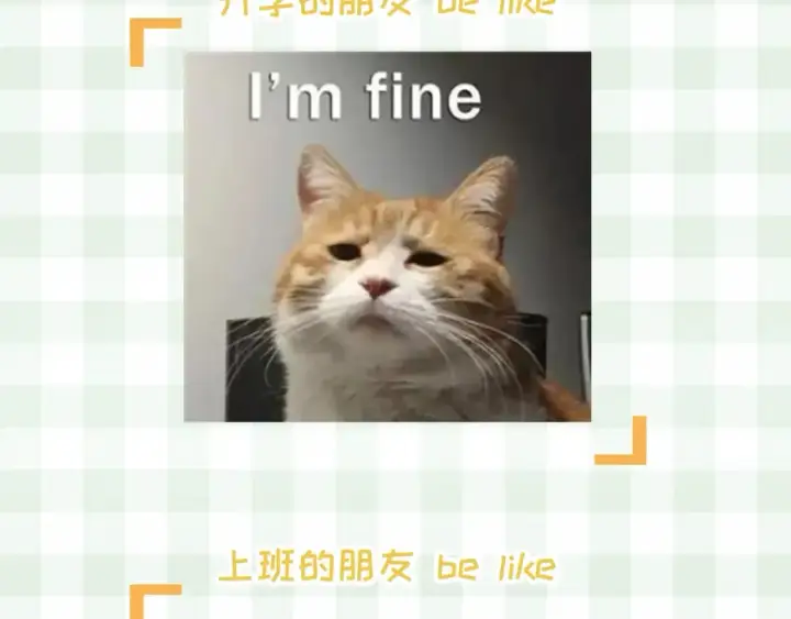 《偷偷藏不住》第48期 8月整活总结图4
