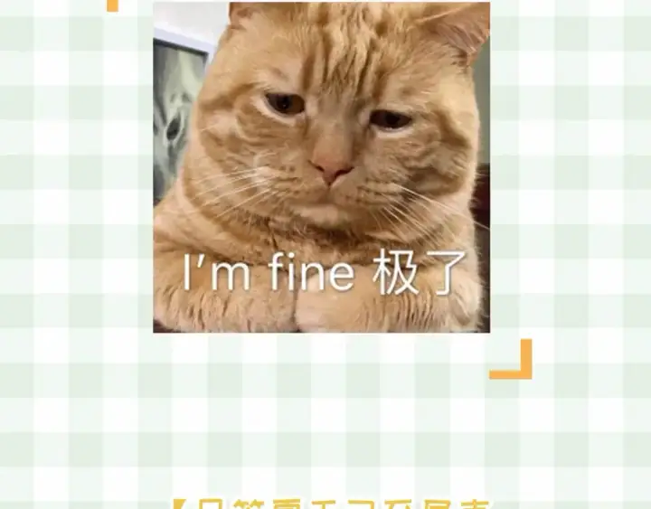 《偷偷藏不住》第48期 8月整活总结图5