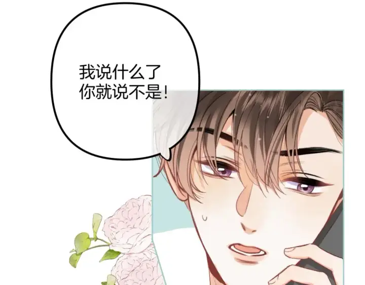 《偷偷藏不住》43 我们只只也得有图34