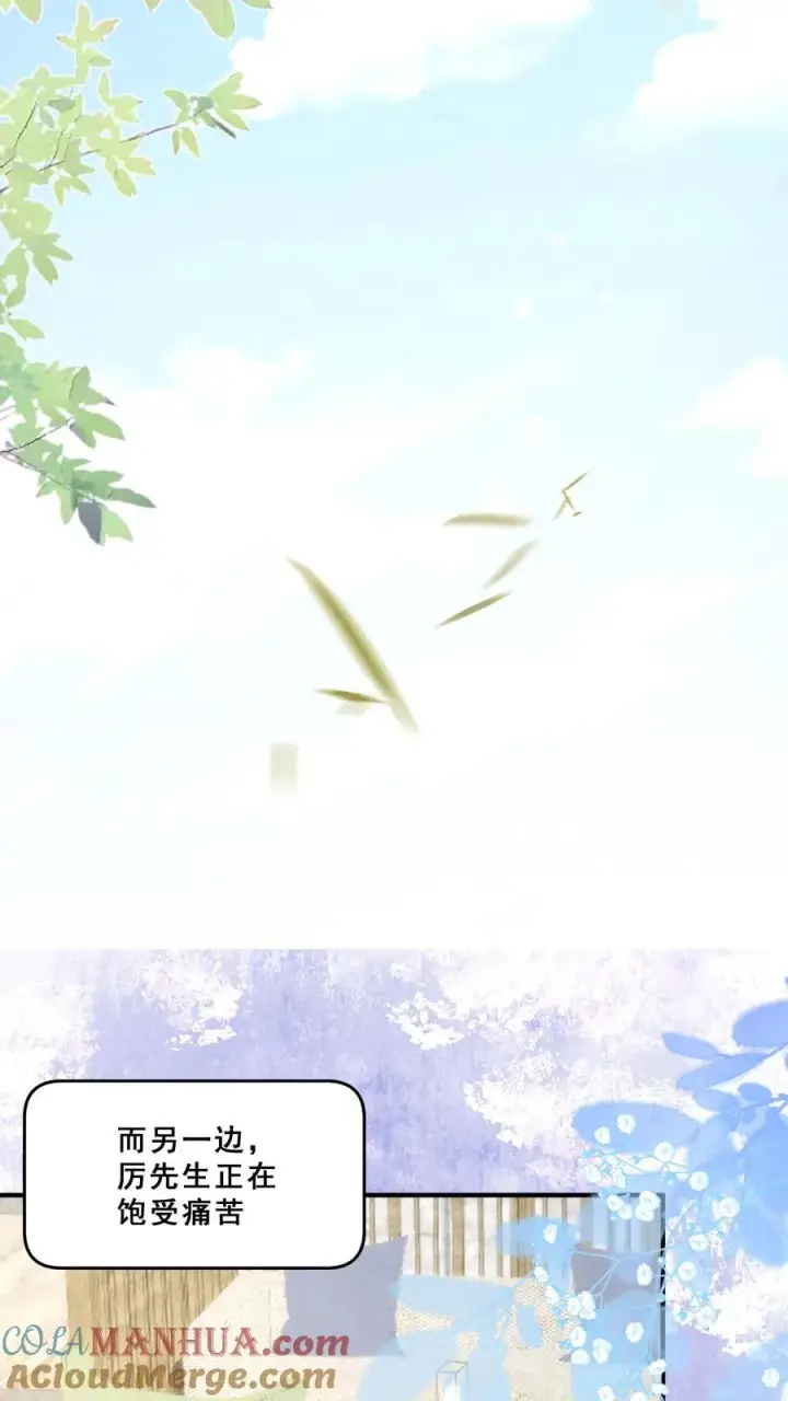 《团宠萌宝：四岁小师傅下山了》第111话 厉先生病发图29