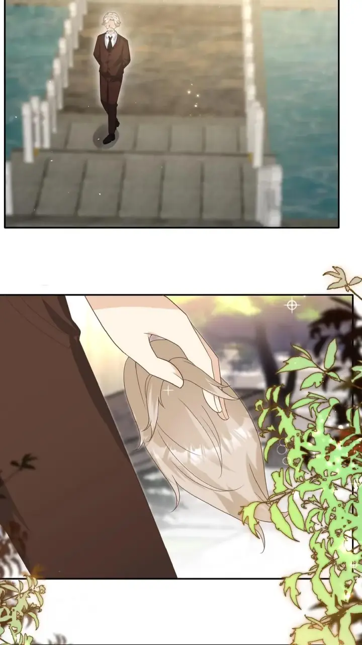 《团宠萌宝：四岁小师傅下山了》第144话 神针消息泄露图24