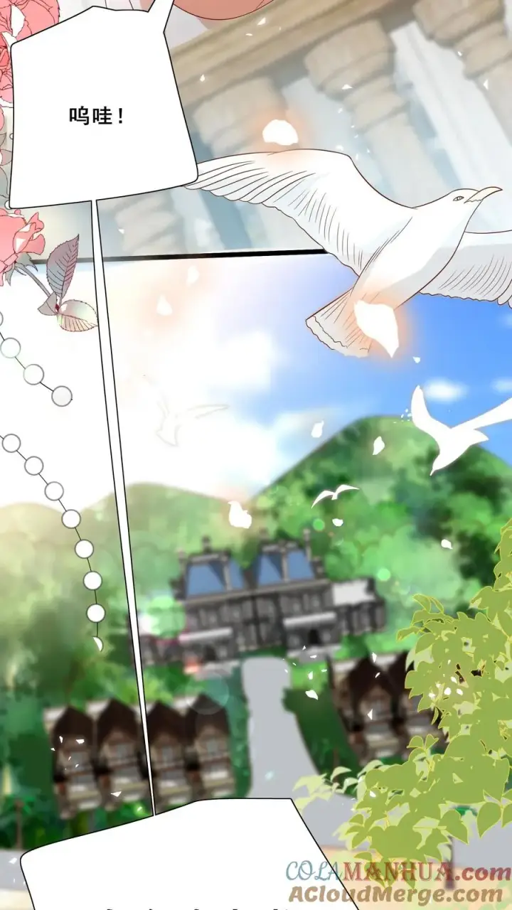 《团宠萌宝：四岁小师傅下山了》第161话 王子殿下图3