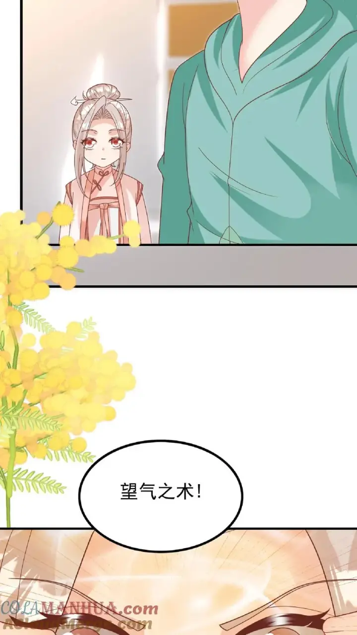 《团宠萌宝：四岁小师傅下山了》第165话 诡异的梧桐树图13