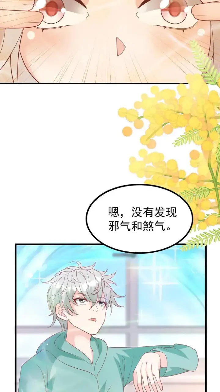 《团宠萌宝：四岁小师傅下山了》第165话 诡异的梧桐树图14