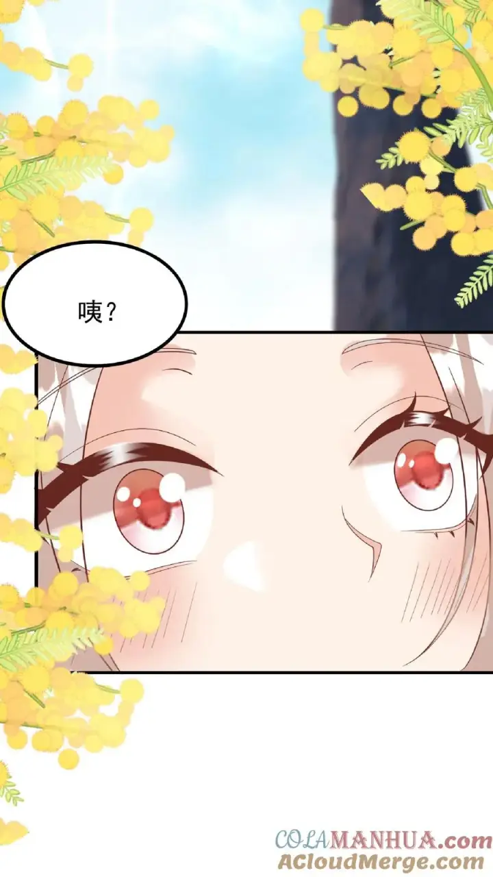 《团宠萌宝：四岁小师傅下山了》第165话 诡异的梧桐树图17