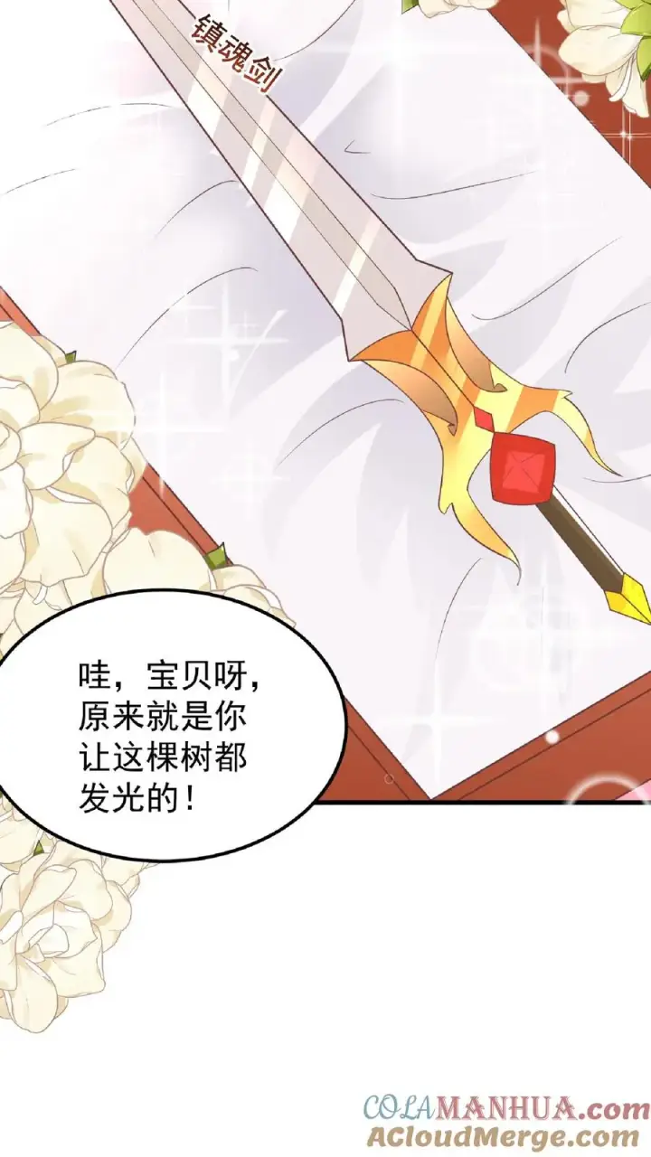 《团宠萌宝：四岁小师傅下山了》第166话 镇魂剑图9