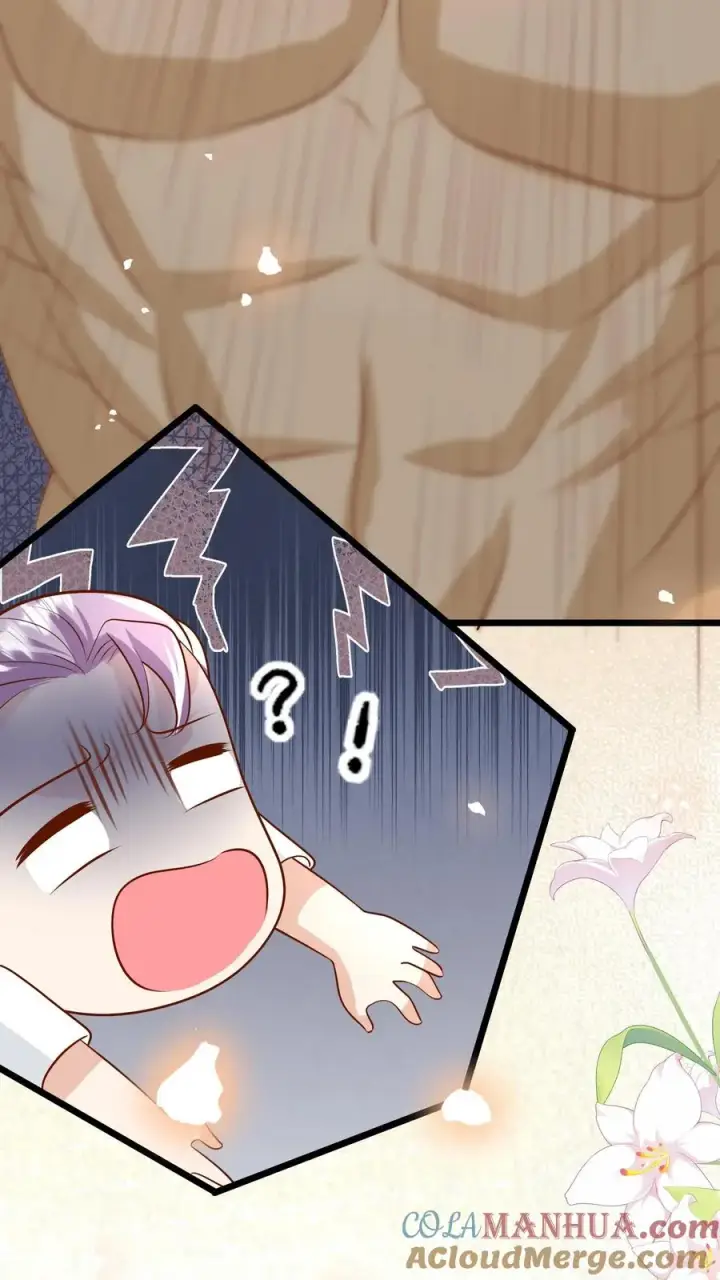 《团宠萌宝：四岁小师傅下山了》第186话 弱不禁风小鸡崽图5