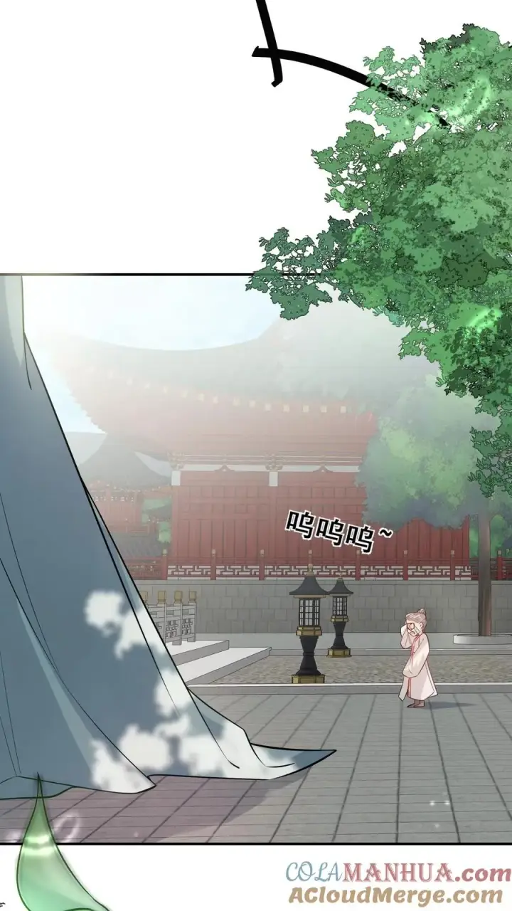 《团宠萌宝：四岁小师傅下山了》第1话 萌宝下山啦图23