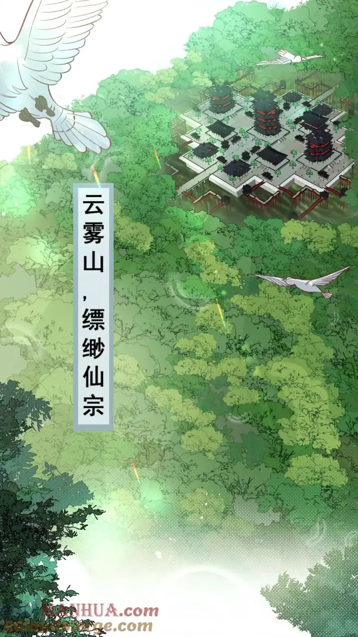 《团宠萌宝：四岁小师傅下山了》第1话 萌宝下山啦图3