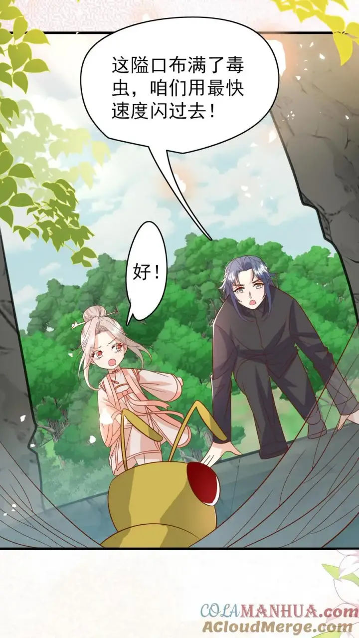 《团宠萌宝：四岁小师傅下山了》第209话 让冷师兄娶你图3