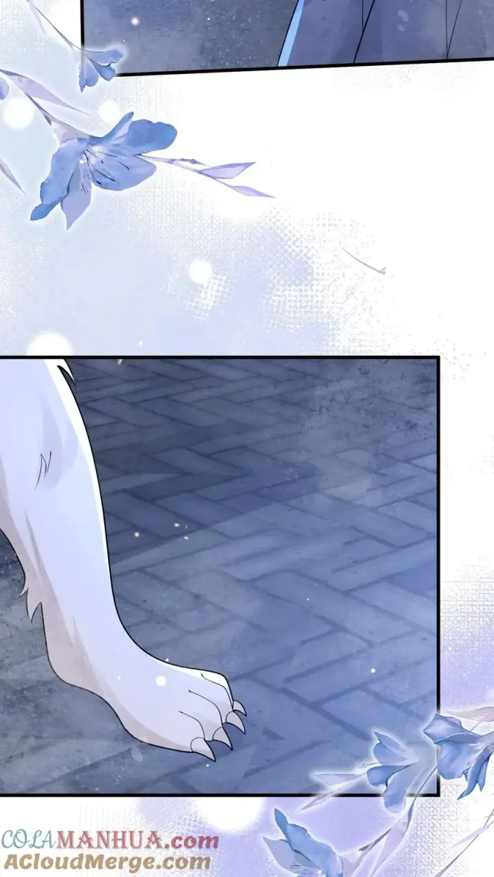 《团宠萌宝：四岁小师傅下山了》第223话 敌袭图25
