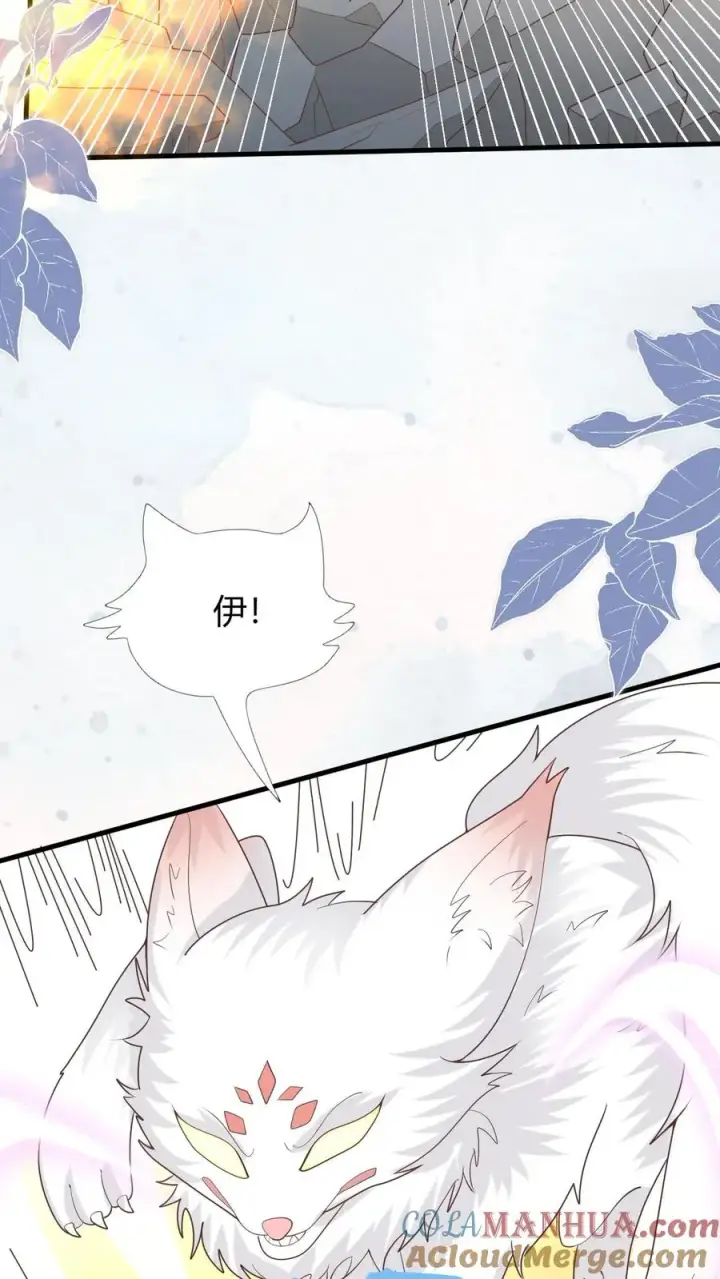《团宠萌宝：四岁小师傅下山了》第223话 敌袭图37