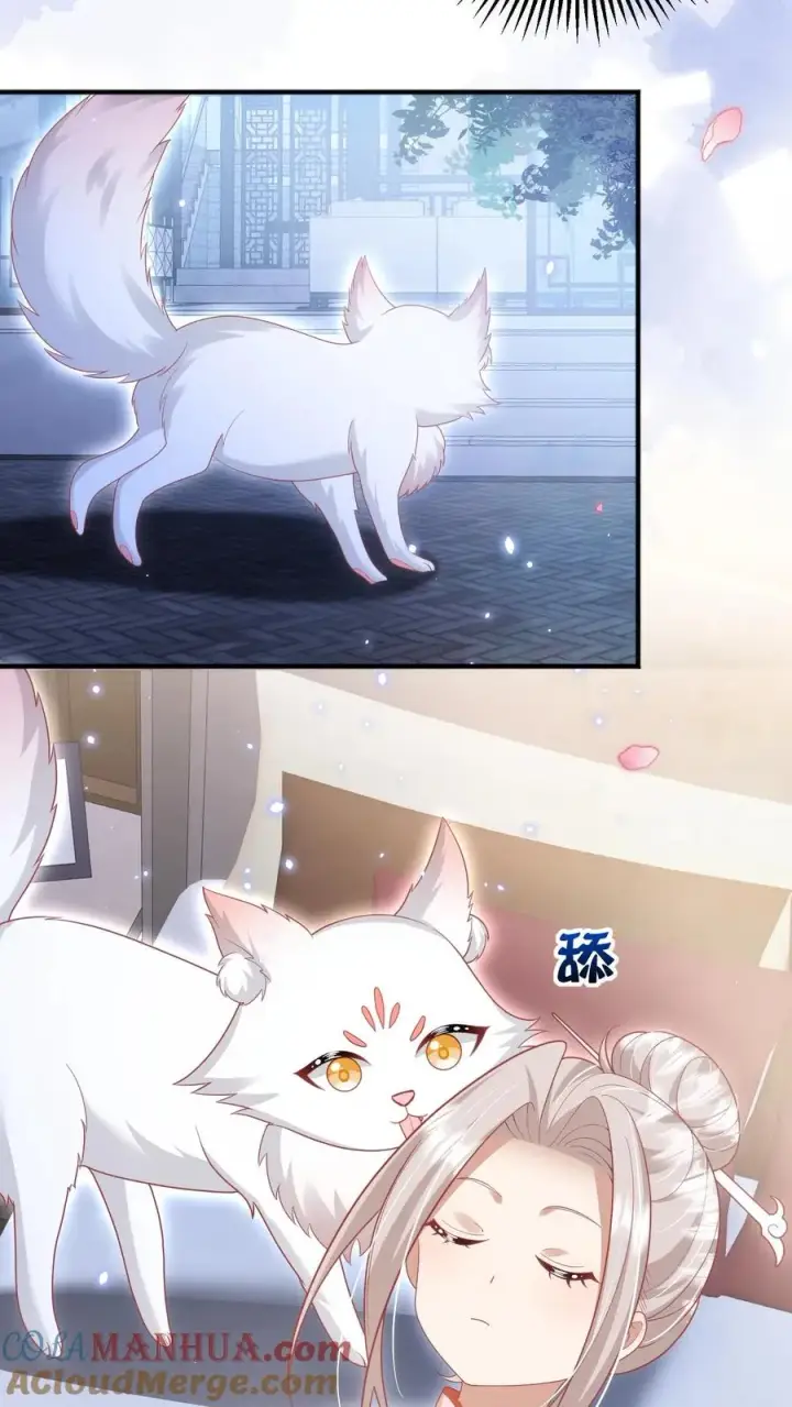 《团宠萌宝：四岁小师傅下山了》第224话 不能招惹的存在图7