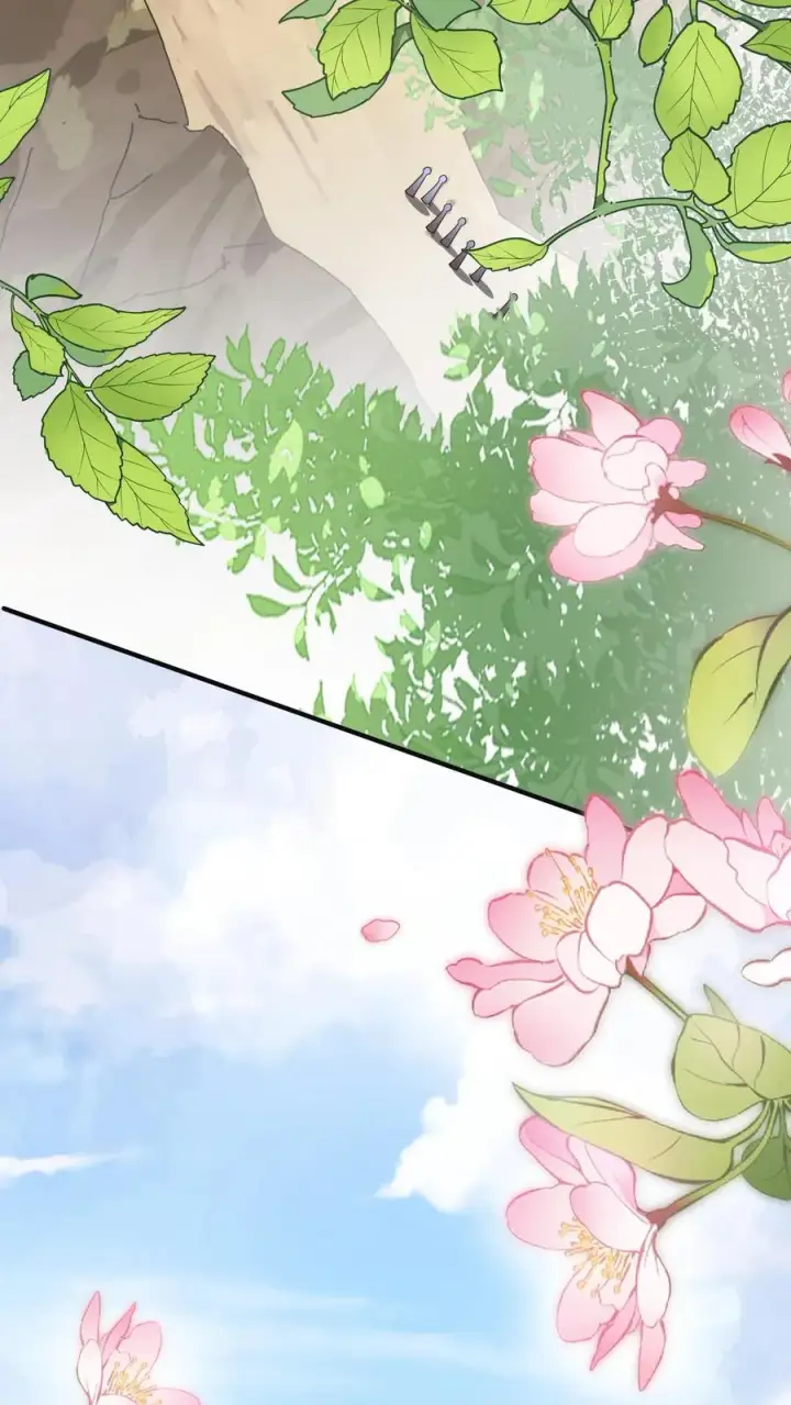 《团宠萌宝：四岁小师傅下山了》第226话 西普岛危机图12