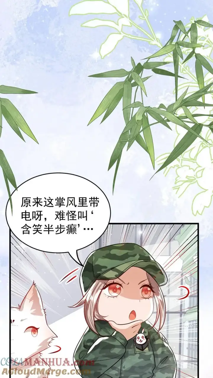 《团宠萌宝：四岁小师傅下山了》第239话 含笑半步癫图29
