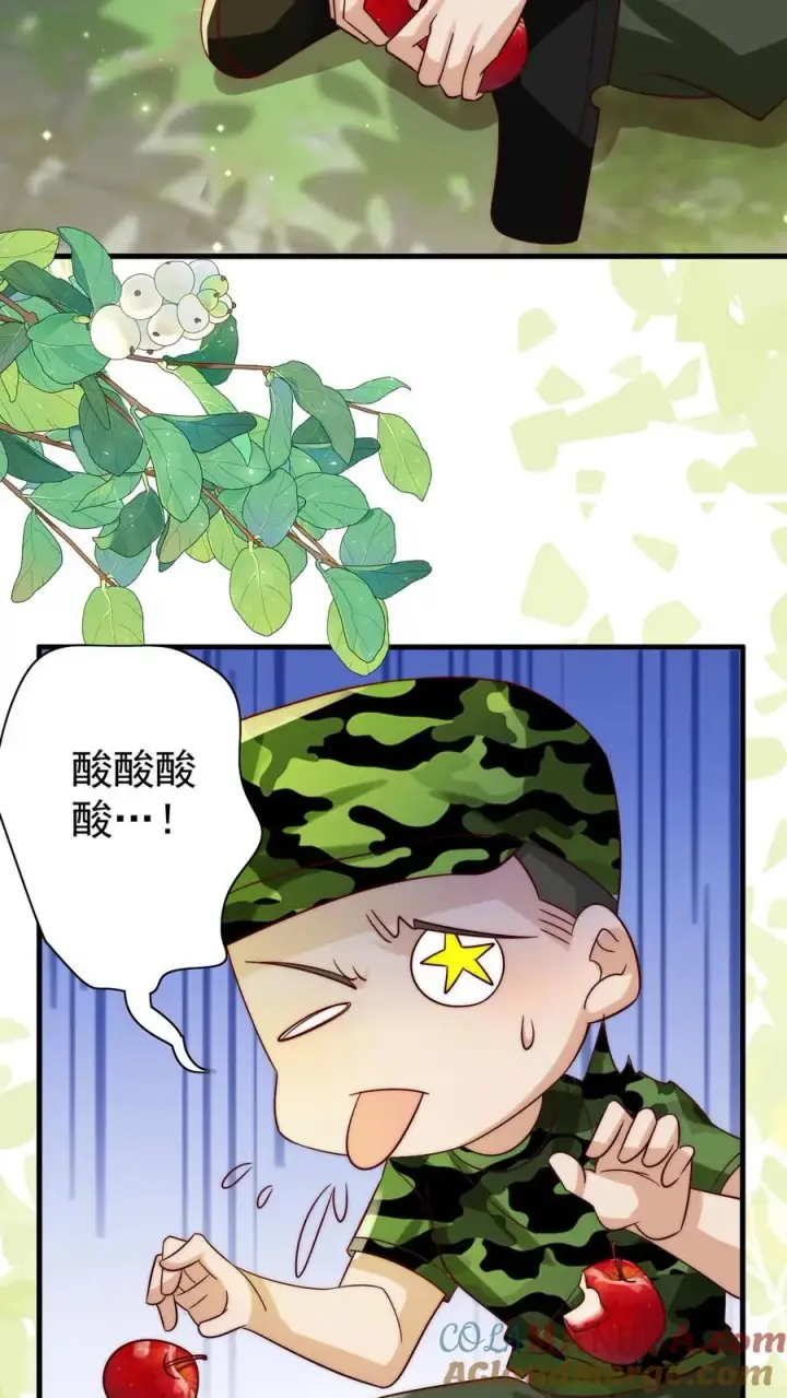《团宠萌宝：四岁小师傅下山了》第247话 兽潮图11