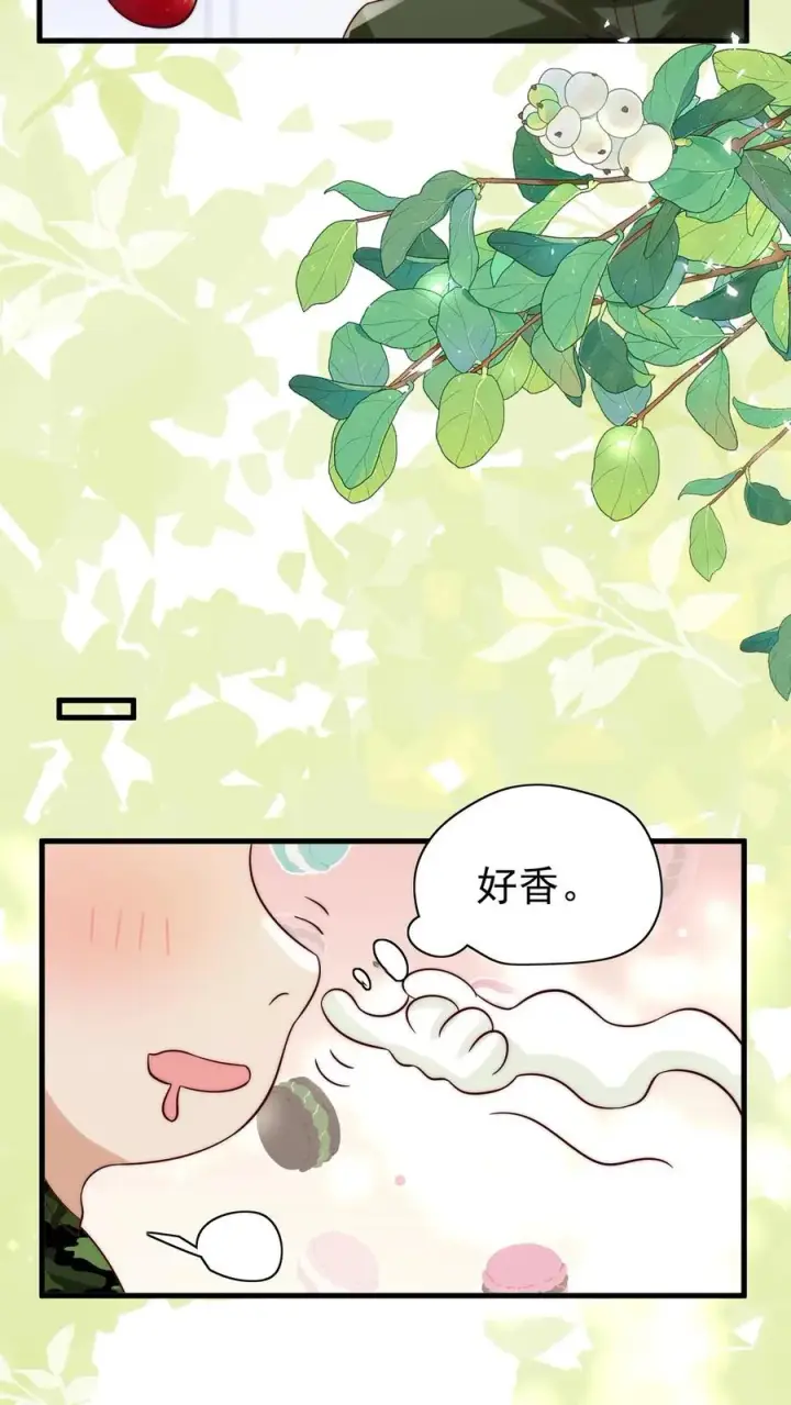 《团宠萌宝：四岁小师傅下山了》第247话 兽潮图12