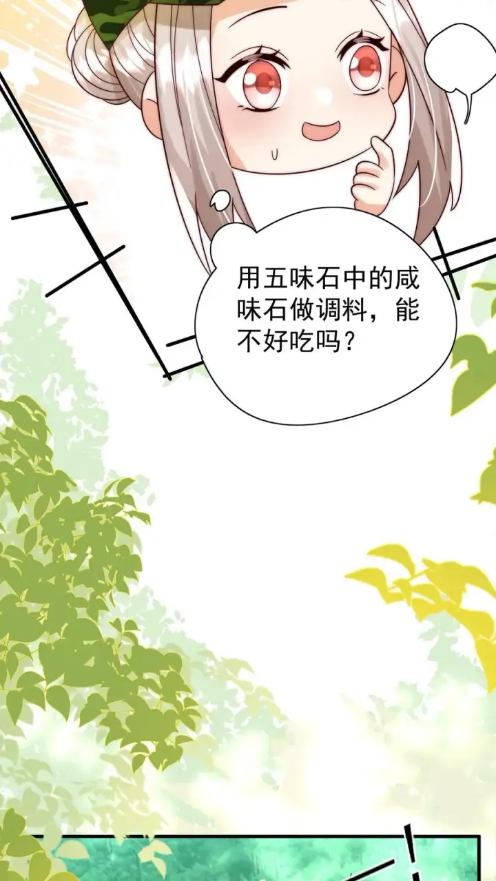 《团宠萌宝：四岁小师傅下山了》第247话 兽潮图22