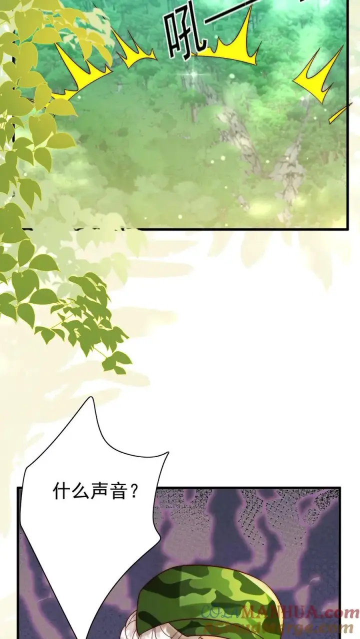 《团宠萌宝：四岁小师傅下山了》第247话 兽潮图23
