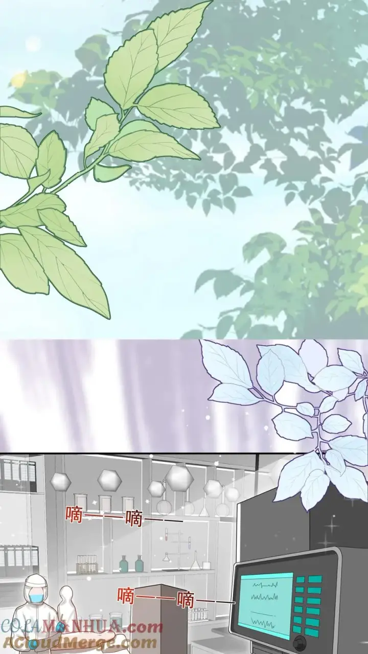 《团宠萌宝：四岁小师傅下山了》第256话 末将炎戮，参见少主图7