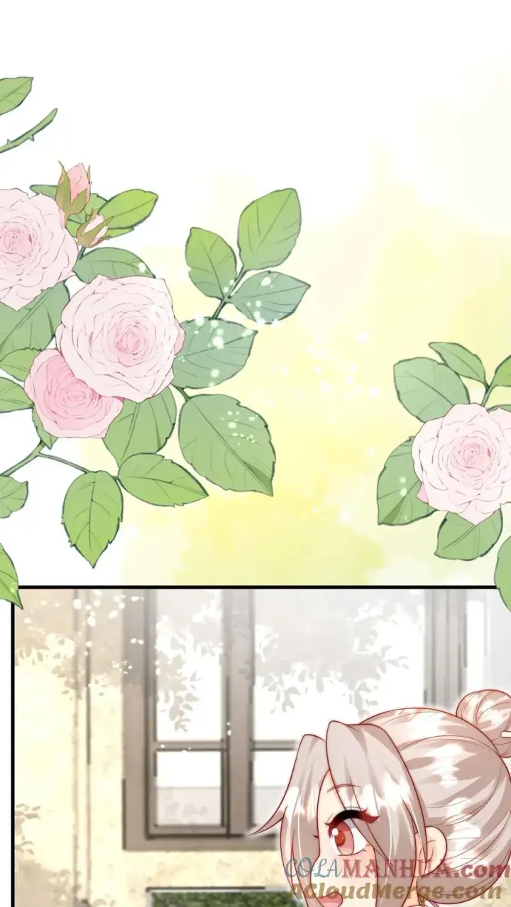 《团宠萌宝：四岁小师傅下山了》第279话 被偷家图7