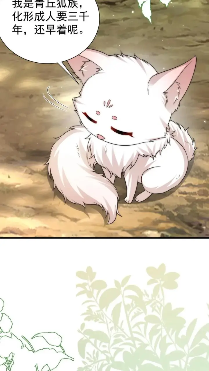 《团宠萌宝：四岁小师傅下山了》第285话 白狐说话图14