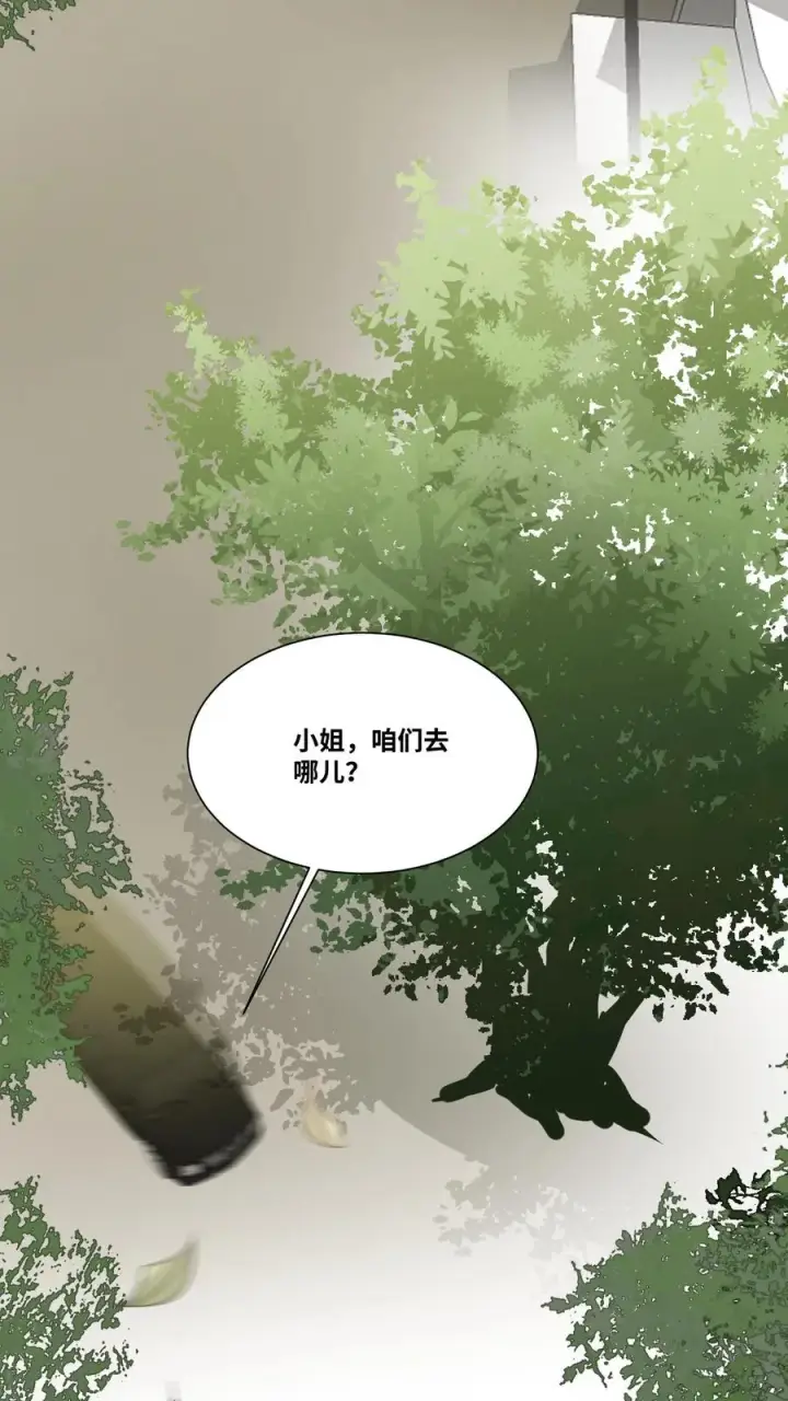 《团宠萌宝：四岁小师傅下山了》第28话 小师妹成土豪了图8
