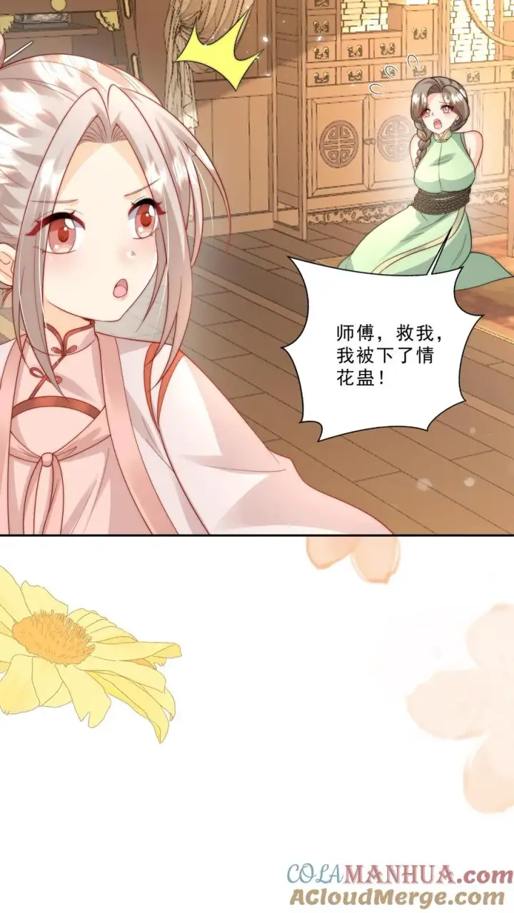 《团宠萌宝：四岁小师傅下山了》第290话 情花蛊虫图7