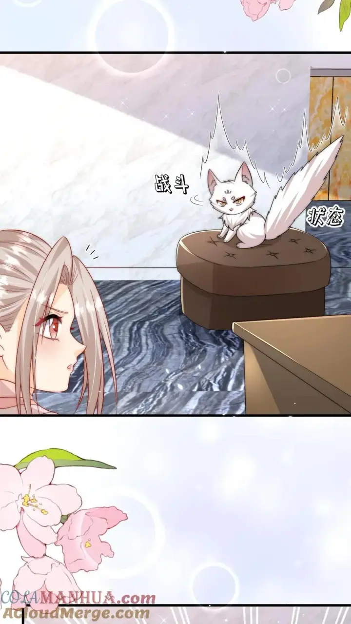《团宠萌宝：四岁小师傅下山了》第291话 月黑风高杀人夜图13