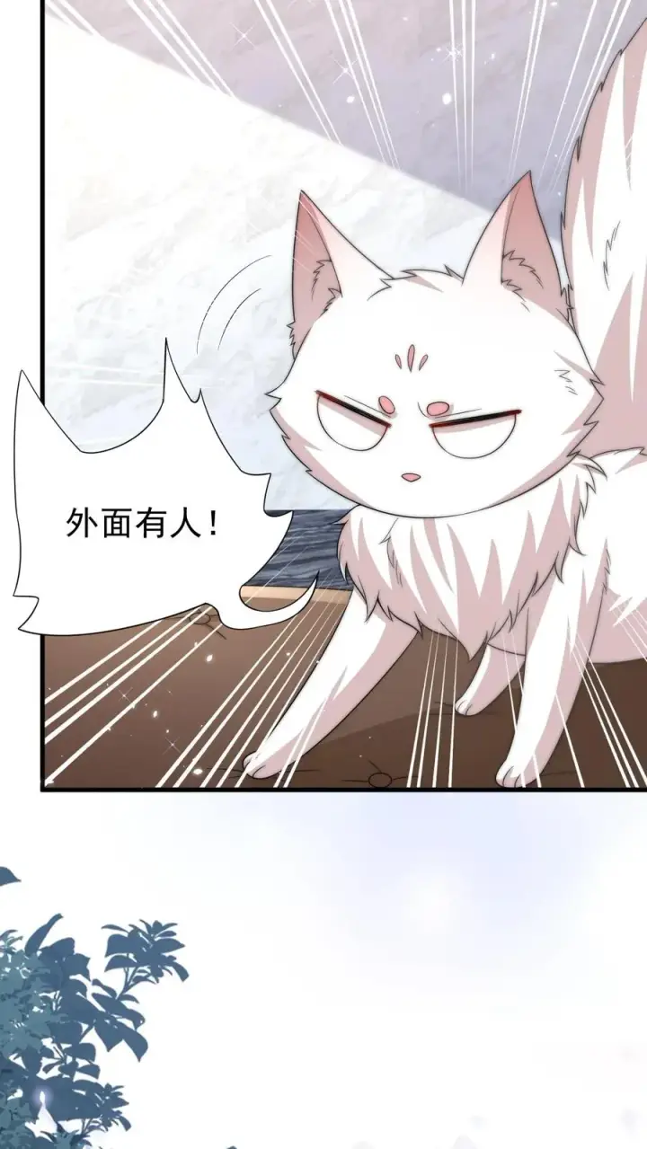 《团宠萌宝：四岁小师傅下山了》第291话 月黑风高杀人夜图14