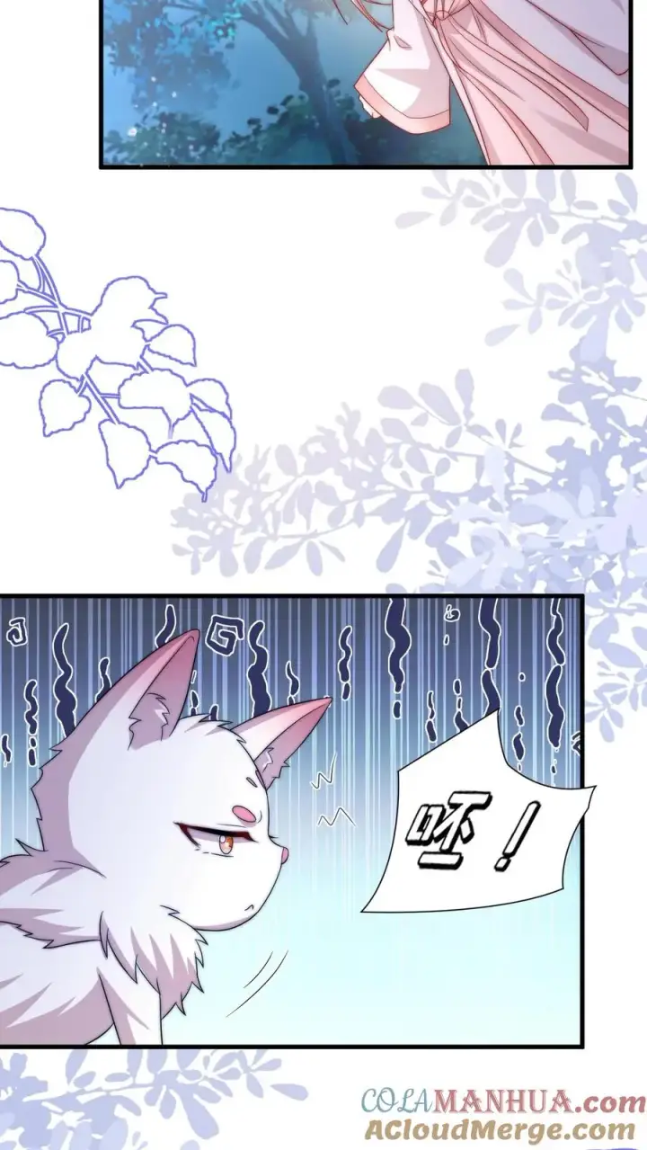 《团宠萌宝：四岁小师傅下山了》第291话 月黑风高杀人夜图25