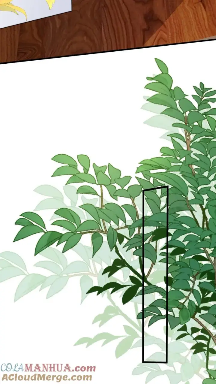《团宠萌宝：四岁小师傅下山了》第295话 跟屁虫翁老图15
