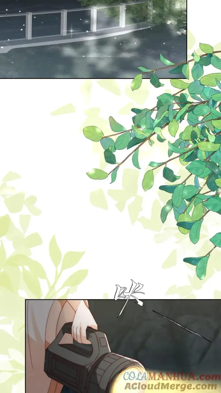 《团宠萌宝：四岁小师傅下山了》第302话 车祸和密道图21