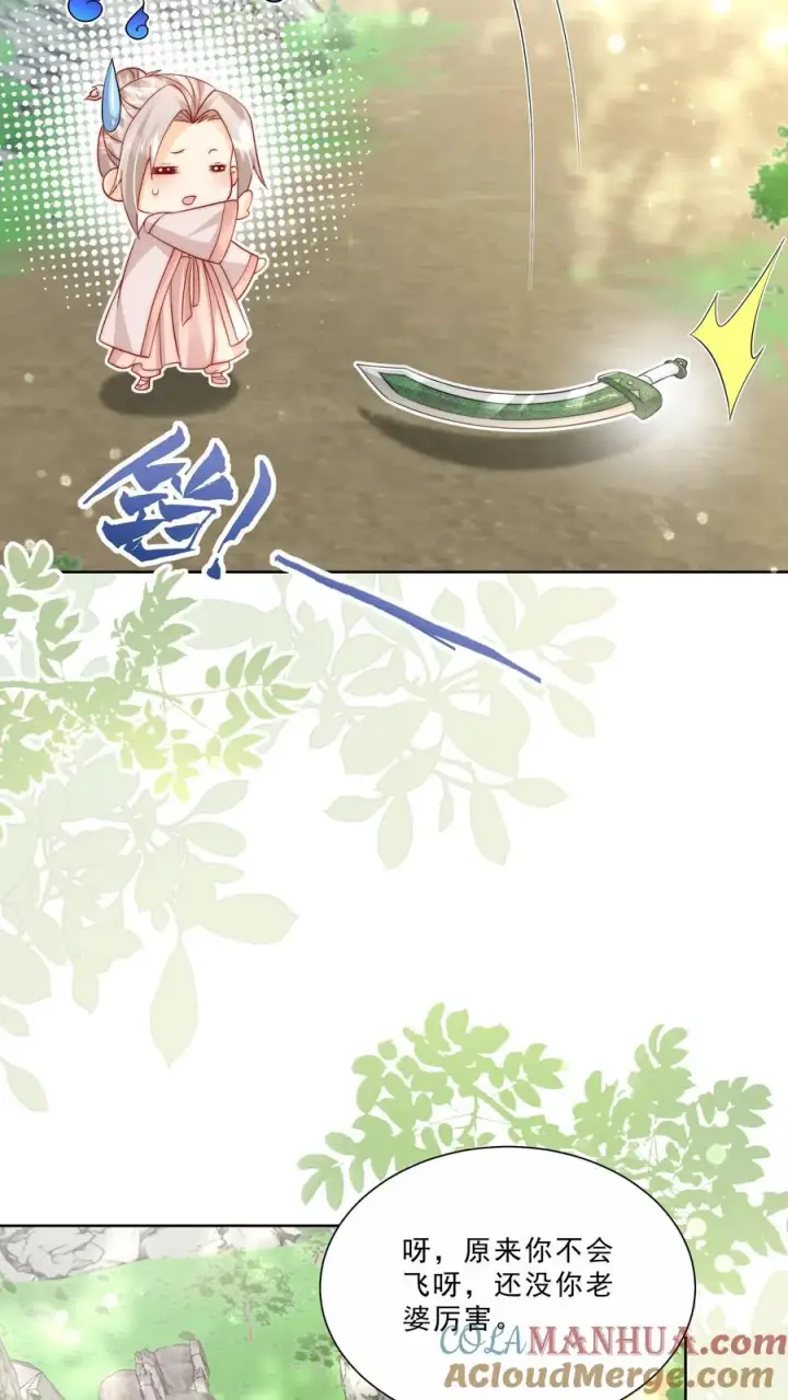 《团宠萌宝：四岁小师傅下山了》第304话 一剑碎山河图9