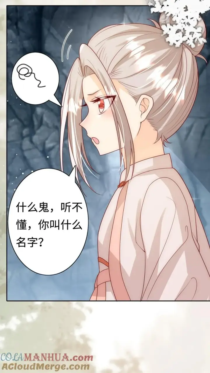 《团宠萌宝：四岁小师傅下山了》第307话 凤不是凤凰图11